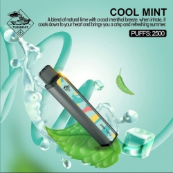 Cool Mint - Tugboat XXL Disposable 2500 Puff