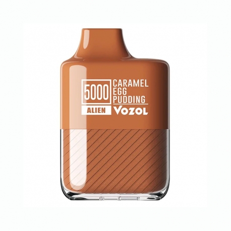 Vozol 5000 Caramel Egg Puding Disposable Pod